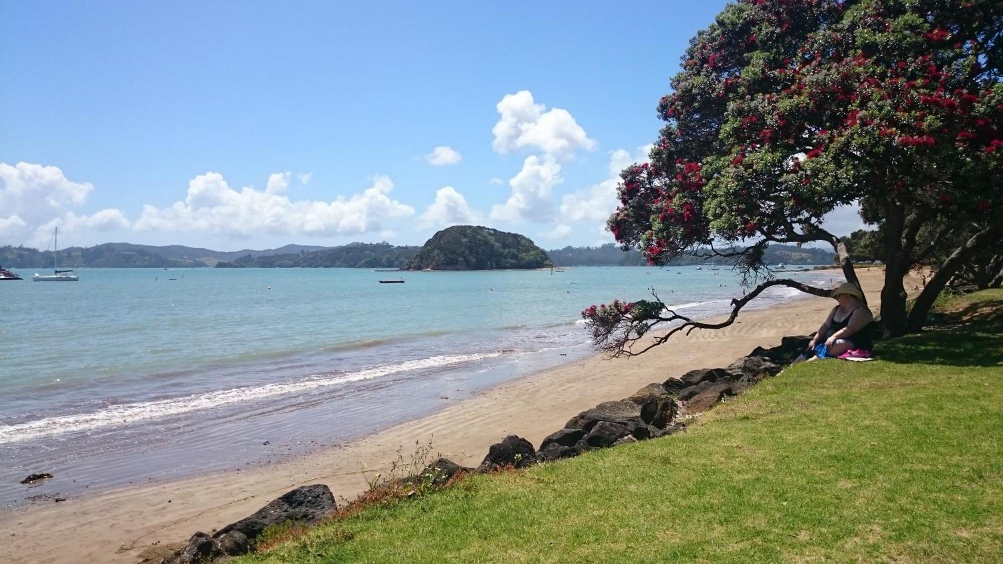 Ala Moana Motel Paihia Buitenkant foto